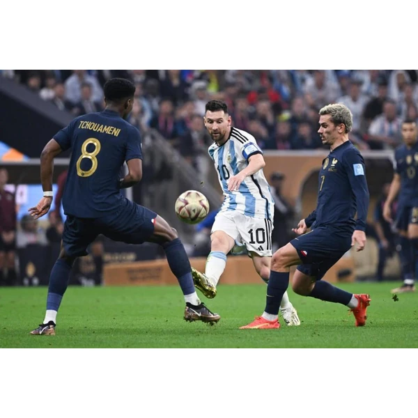 data-starsport.com.cn APP - xingkong